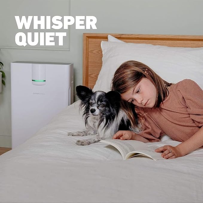 HATHASPACE HSP002 True HEPA Air Purifier