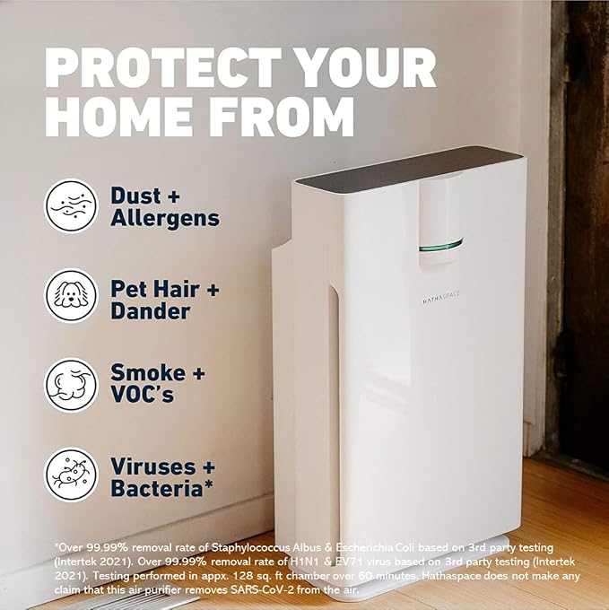 HATHASPACE HSP002 True HEPA Air Purifier