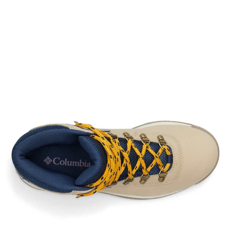 Columbia Women's Newton Ridge Plus, Ancient Fossil/Shale Mauve, 5.5