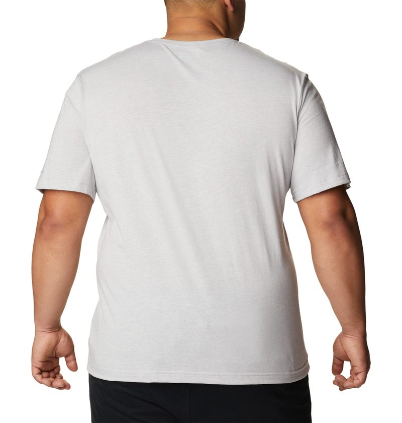 Columbia Men's Thistletown Hills Short Sleeve, Grey Heather, 4X Big