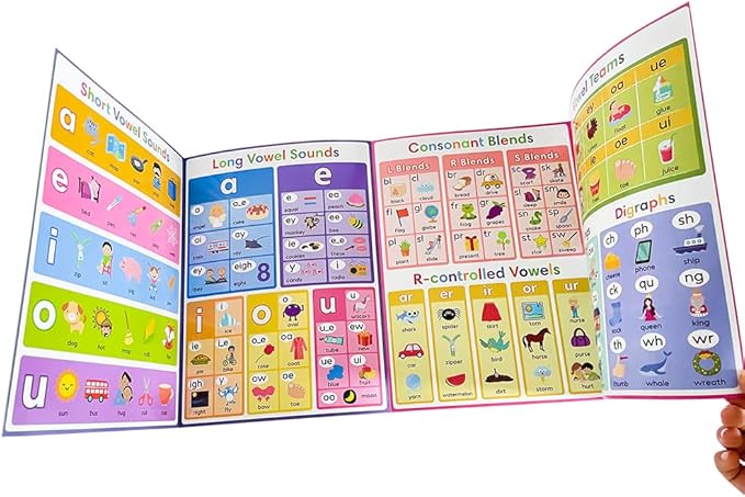Lachilly My First Learning Chart and My First Phonics Chart Set Words Learning Sheet Educational Poster Vocabulary Building Flashcards Worksheet Teacher Teaching Aids for Pre-Kindergarten