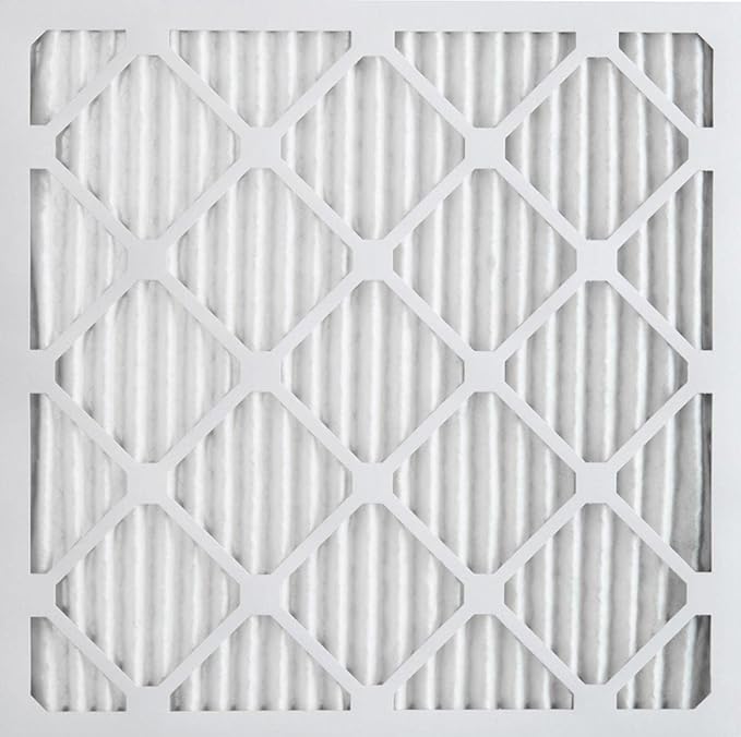 Nordic Pure 20x20x1 Pleated MERV 8 Air Filters 2 Pack