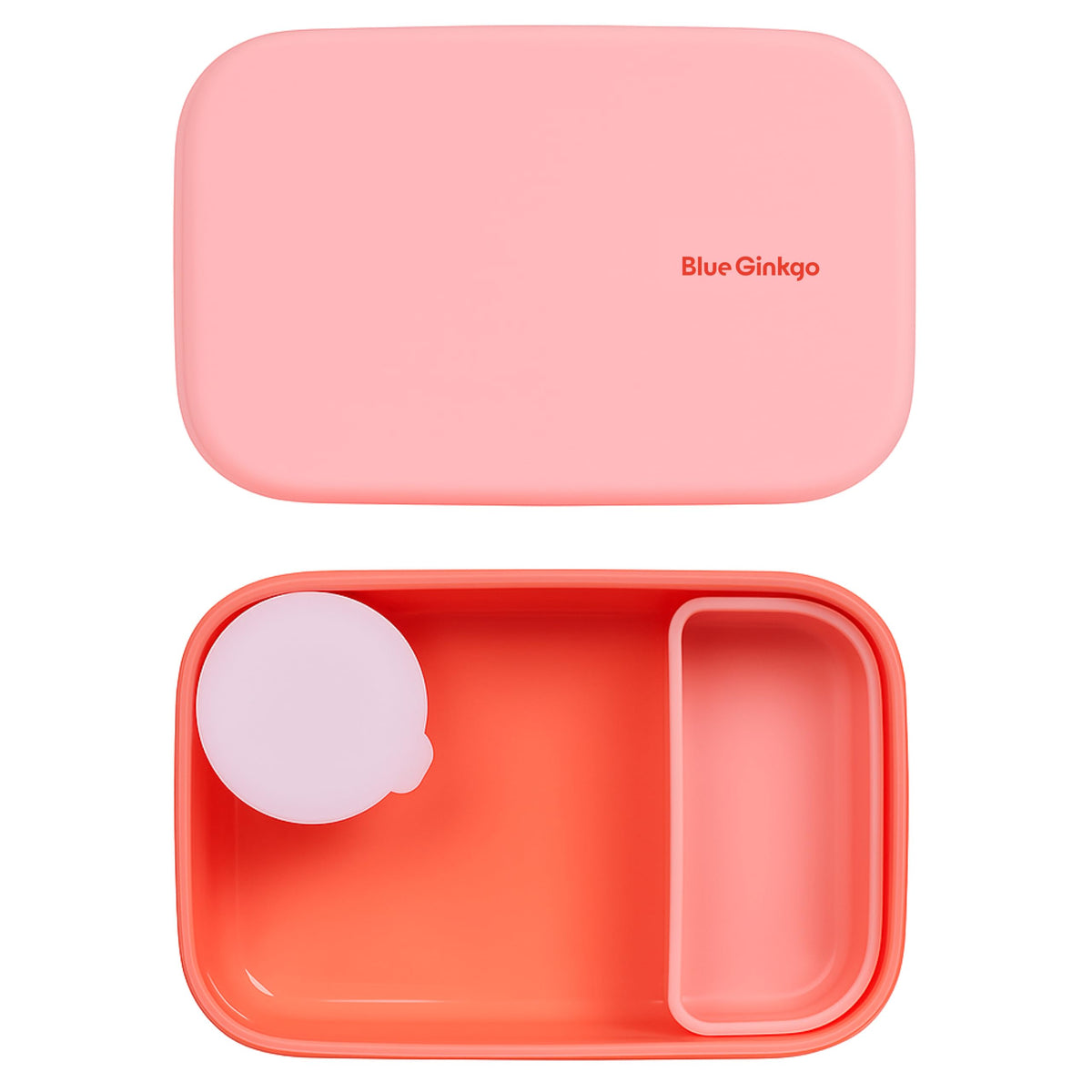 BLUE GINKGO Bento-Style Silicone Lunch Box Set, Purple, Made in Korea