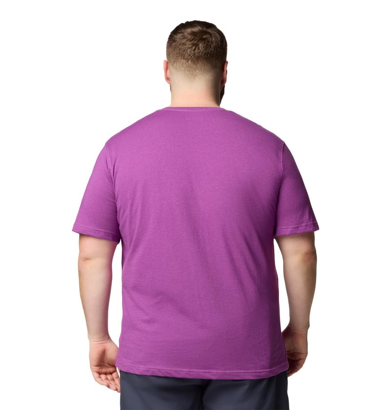 Columbia Mens Thistletown Hills Short Sleeve T-Shirt, Razzle Heather, 1X