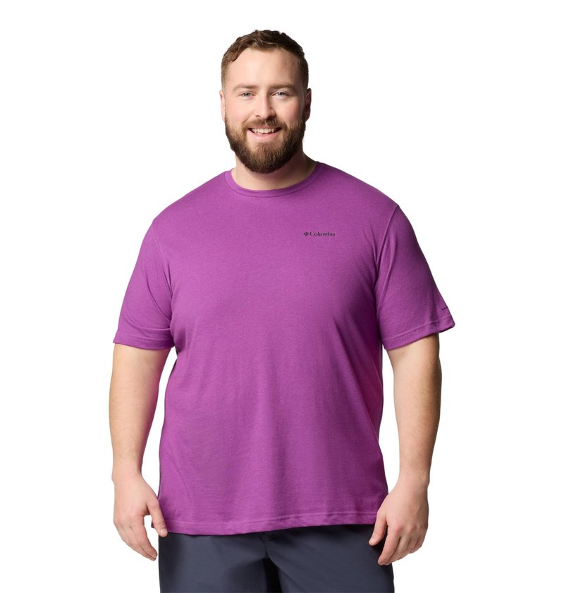 Columbia Mens Thistletown Hills Short Sleeve T-Shirt, Razzle Heather, 1X