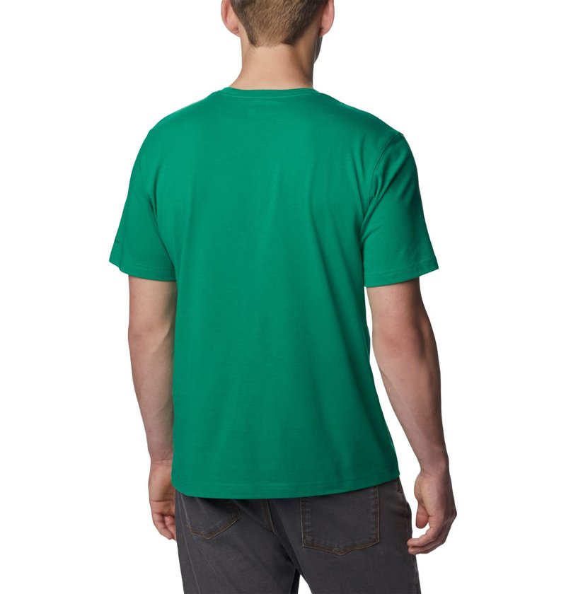 Columbia Men's Thistletown Hills Short Sleeve, Bamboo Forest, 2X Tall