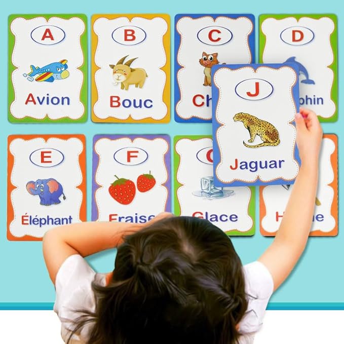 Erasable French Alphabet flashcards. - Write and Wipe Laminated ABCD Letter Tracing Practice Card for Kindergarten (26 Flashcards with Marker) (French Version)