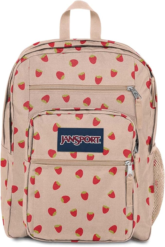 JanSport Laptop Backpack - Computer Bag with 2 Compartments, Ergonomic Shoulder Straps, 15” Laptop Sleeve, Haul Handle - Book Rucksack - Strawberry Shower