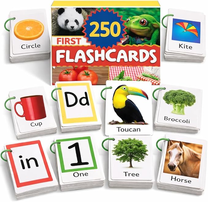 500 Words Thick & Sturdy Learning Flash Cards for Toddlers 1-3 with Rings - 1 Year Old Girl Gifts - Educational & Montessori Toys for 1 Year Old boy - Toddler Flashcards for Preschool & Kindergarten