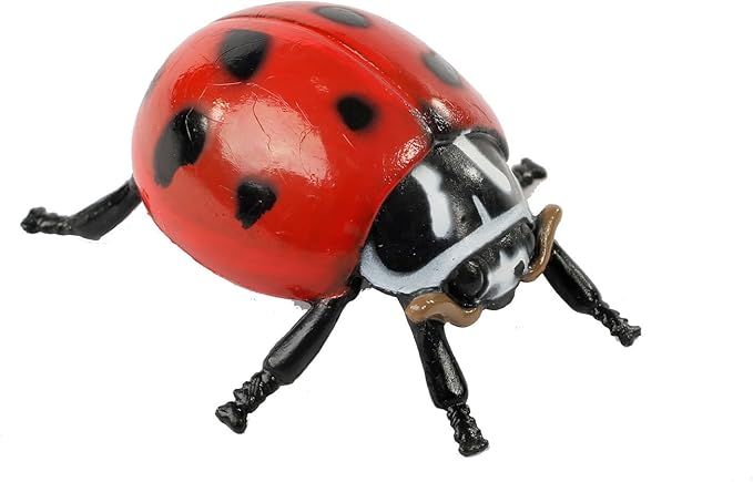 Insect Lore Ladybug Life Cycle - 4 PC Insect Figure Shows Life Of Lady Bug
