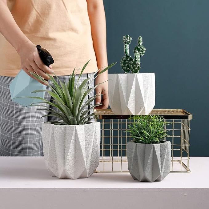 Outdoor Succulent Plantpot Cactus Plant Container Cement Flowerpot Container