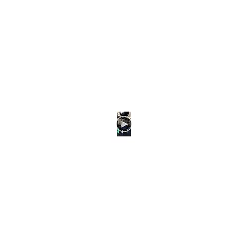 AUROLA Intensify 2 Pieces Set Workout Leggings for Women Seamless Scrunch Tights Tummy Control Pants,Set (Black+Chestnut Brown),S
