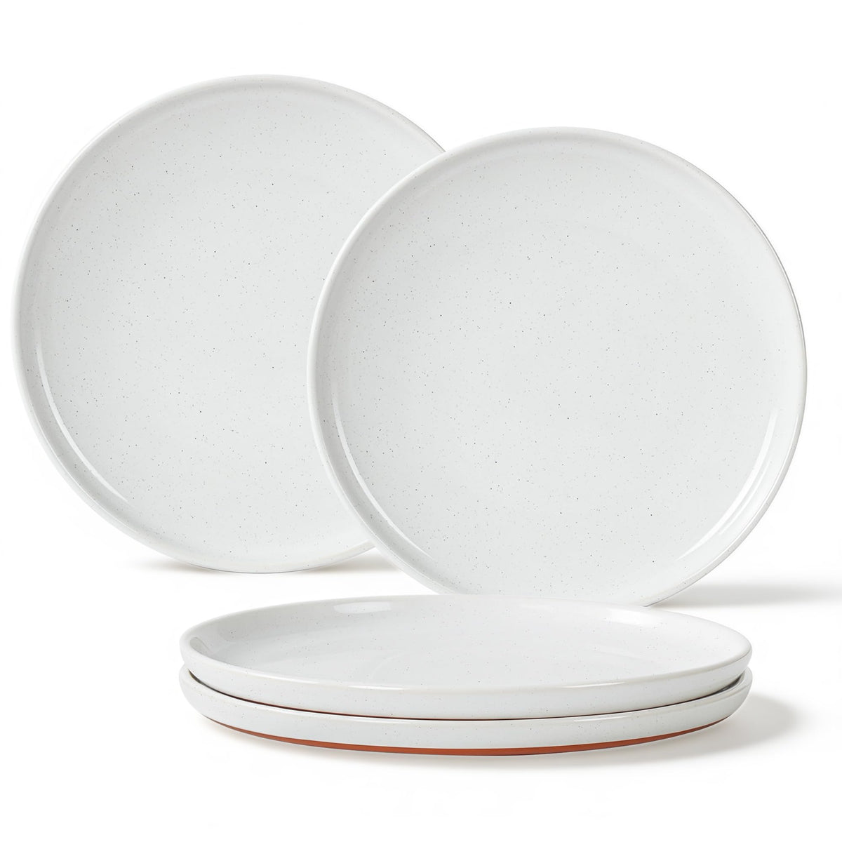 GZG Ceramic Dinner Plates, 10.25 Inch, Set of 4