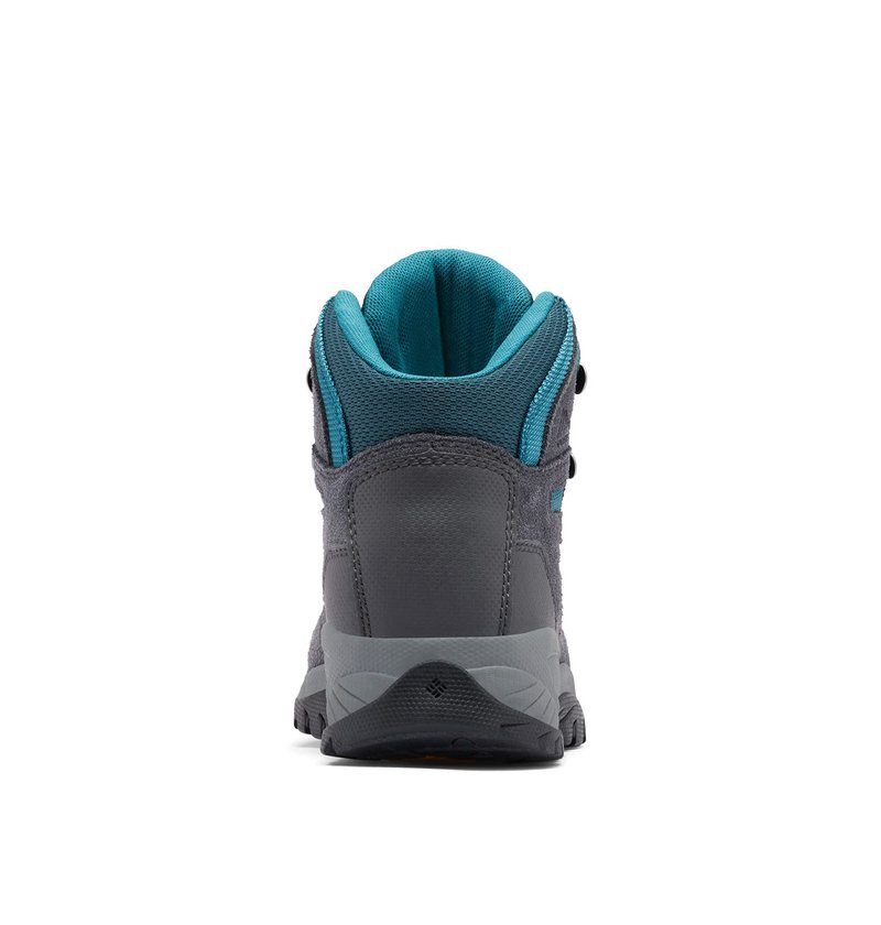 Columbia Womens Newton Ridge Plus Waterproof Amped, Shark/River Blue, 9 Wide