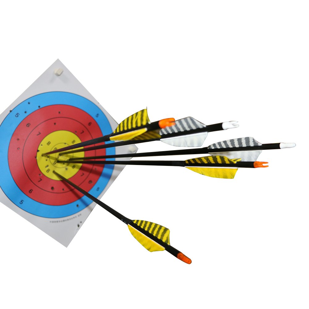 32 Inch Carbon Archery Arrows，Spine 400 with Removable Tips, 4inch Turkey Feather, Hunting and Target Practice Arrows for Compound Bow and Recurve Bow, 6 Pack (Yellow and Black)