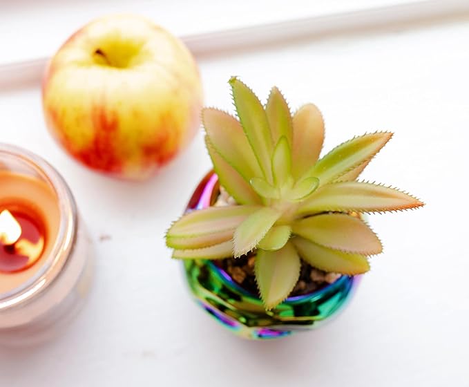 Disney Villains Evil Queen Poison Apple Ceramic Planter with Artificial Succulent | Small Flower Pot, Faux Indoor Plants For Desk Shelf, Home Decor Trinket Tray | Snow White and the Seven Dwarfs Gifts