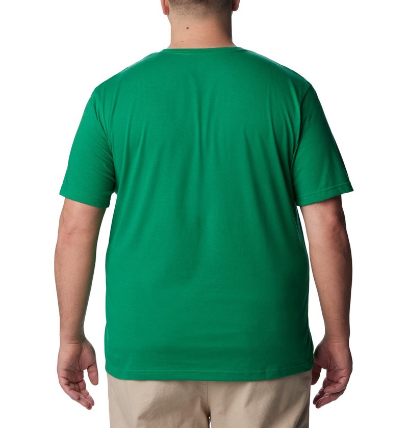 Columbia Men's Thistletown Hills Short Sleeve, Bamboo Forest, 2X Tall