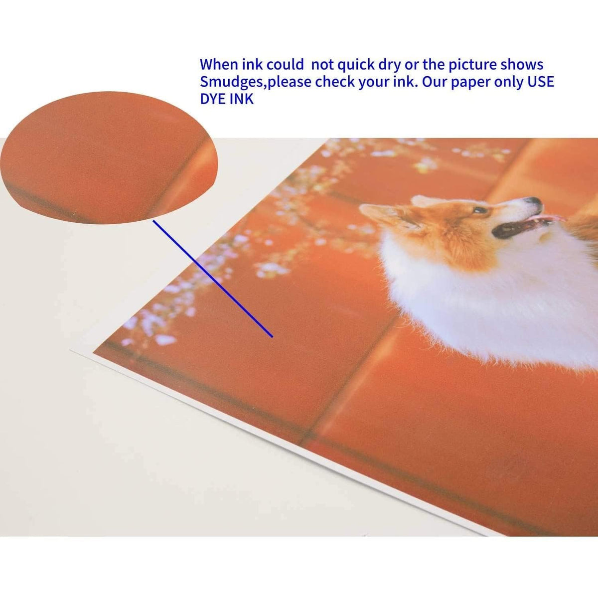 Koala Double Side Thin Glossy Photo Paper 8.5x14 Inches Legal Size 120gsm 100 Sheets Compatible with Inkjet Printer and Dye Ink 32LB