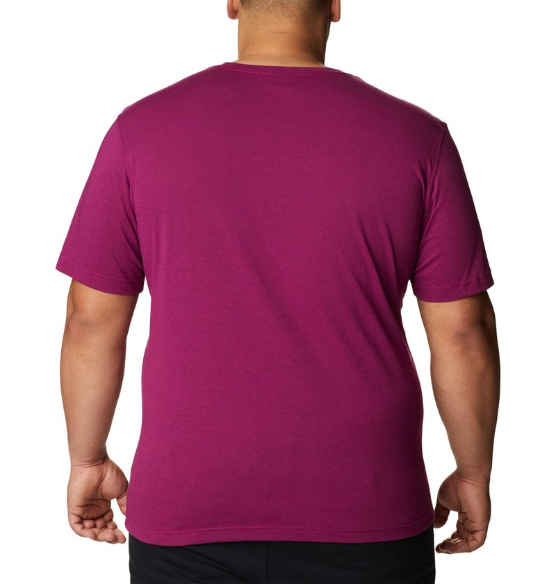 Columbia Men's Thistletown Hills Short Sleeve, Red Onion Heather, X-Large