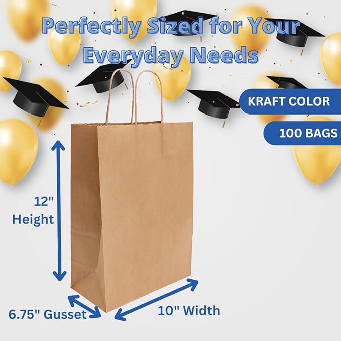 ASSUREPAK Kraft DIY Paper Bags, 10" x 6.75" x 12", 90 GSM, 100 Count