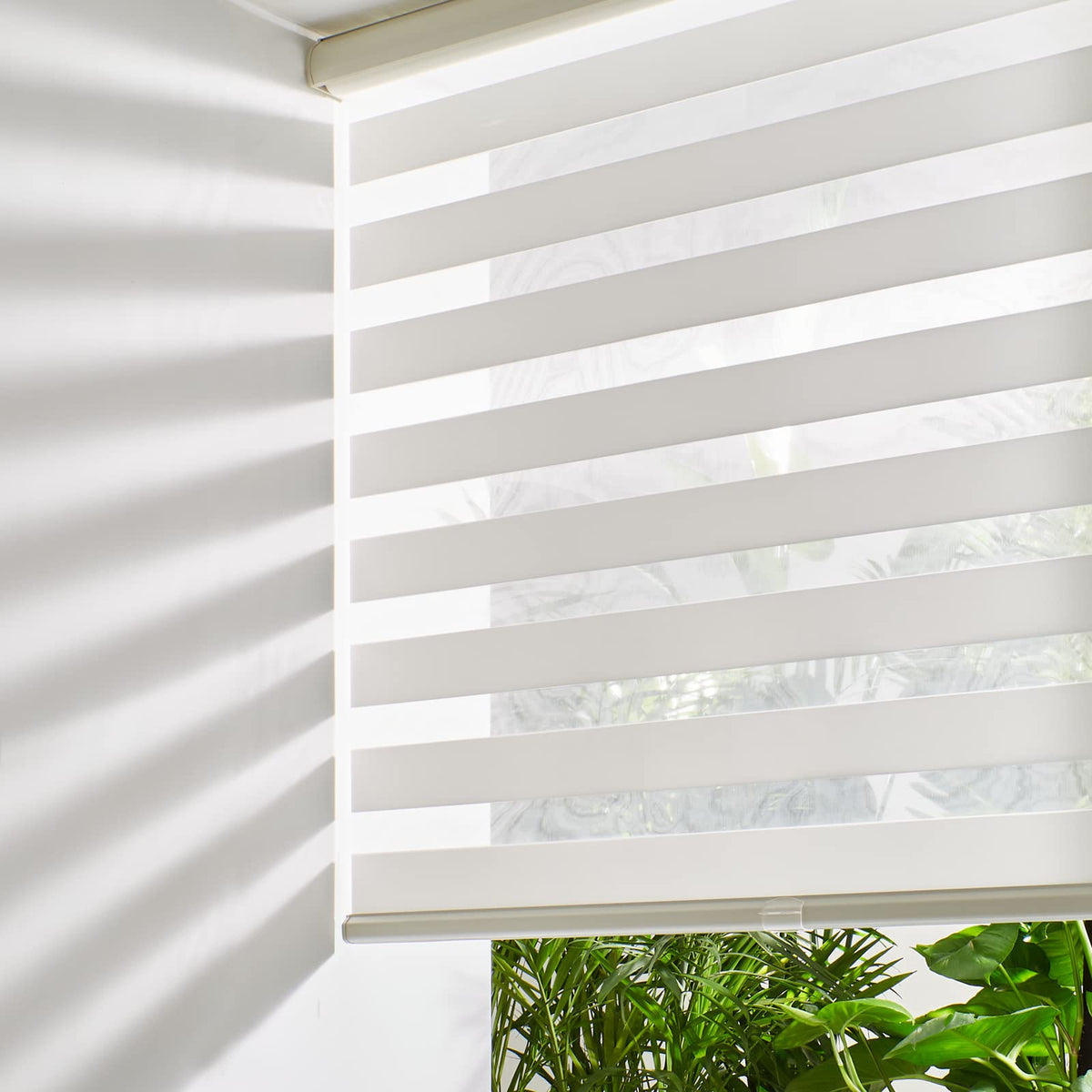 Persilux Cordless Zebra Blinds for Windows Free-Stop Roller Windows Shades Dual Layer Light Control for Day and Night, Light Filtering Sheer Shades for Home (32" W X 72" H, Cream)