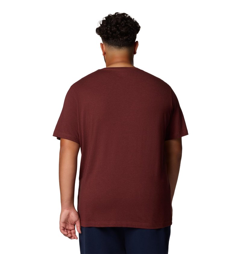 Columbia Men's Thistletown Hills Short Sleeve T-Shirt, Spice Heather, 6X
