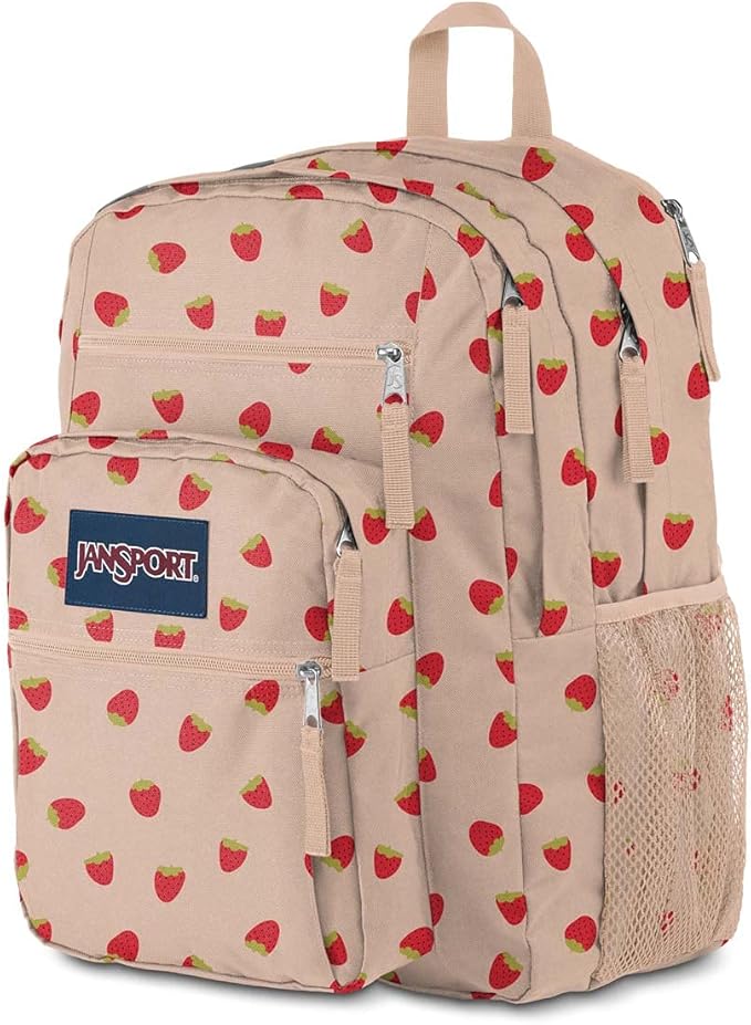 JanSport Laptop Backpack - Computer Bag with 2 Compartments, Ergonomic Shoulder Straps, 15” Laptop Sleeve, Haul Handle - Book Rucksack - Strawberry Shower