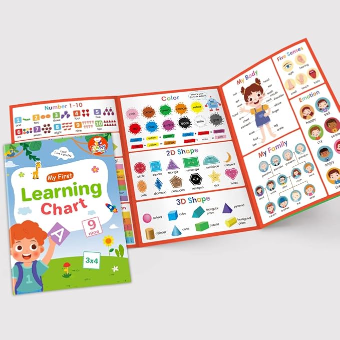 Lachilly My First Learning Chart 22 Themes English Words Learning Sheet Educational Poster Vocabulary Building Teacher Teaching Aids for Pre-Kindergarten
