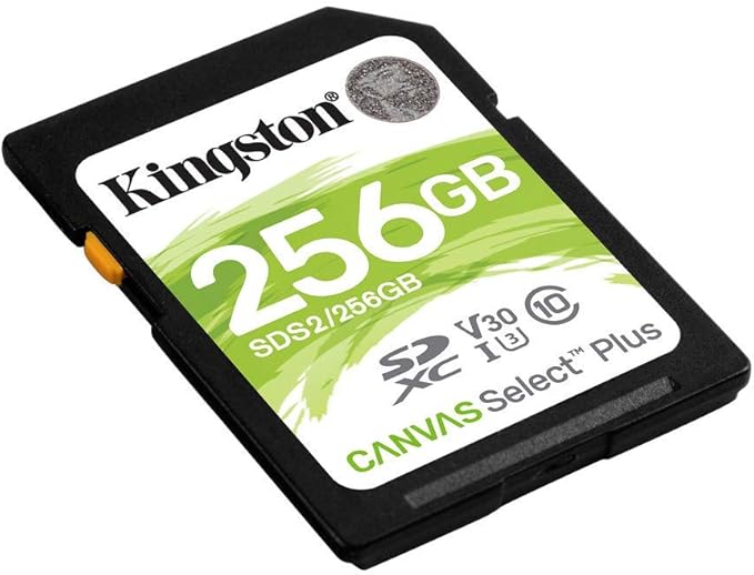 Kingston 256 GB SDXC Class 10 Flash Memory Card SDS2 Memory