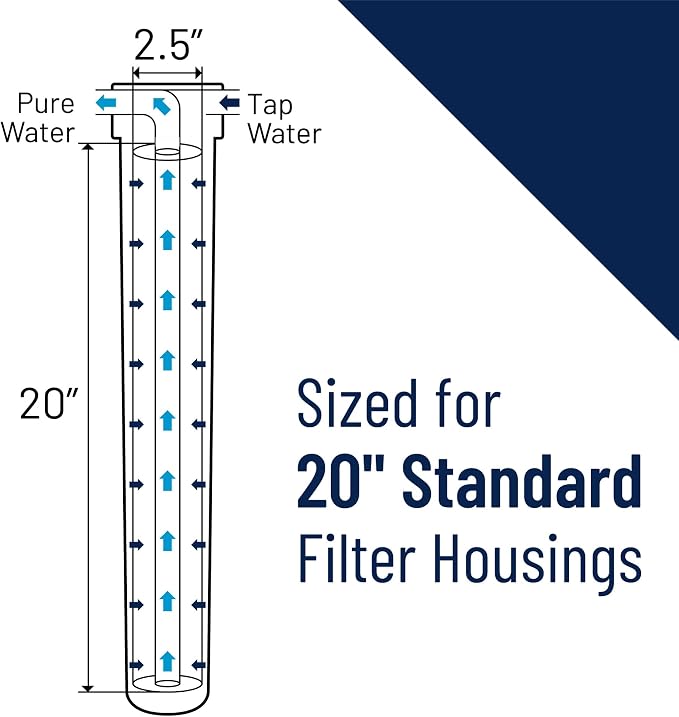 Pentair Pentek C1-20 Carbon Water Filter, Whole House Dual Purpose Powdered