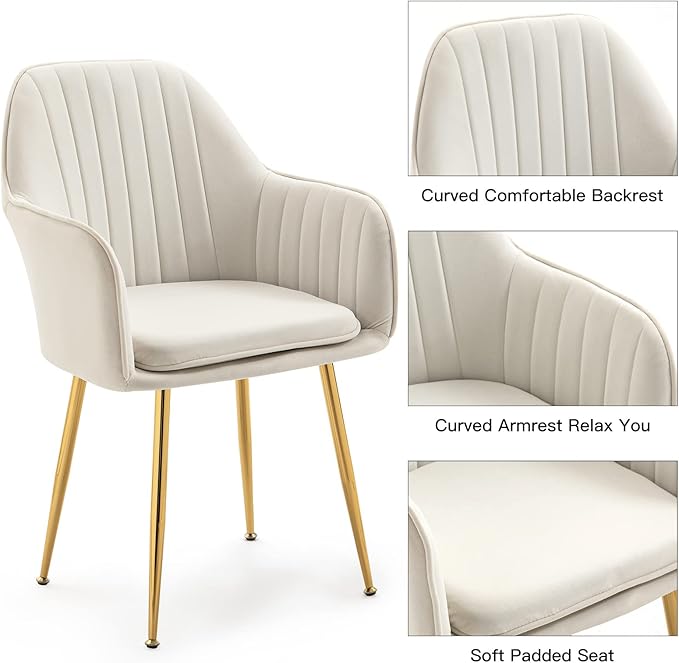 ECOTOUGE Modern Dining Chairs Set of 2, Upholstered Dining Room Chairs with Golden Metal Legs, Matte Velvet Kitchen Chairs for Dining Table, Accent Chairs for Living Room, Beige
