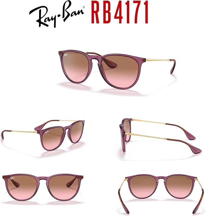 Ray-Ban RB4171 ERIKA Round Sunglasses For Women +BUNDLE with ACCESSORY EYEWEAR KIT