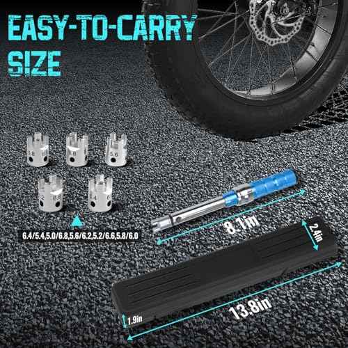 Spoke Torque Wrench Set, 2-10 NM Spoke Torque Spanner Kit for Motorcycle £¦ Dirt Bike, Click Spoke Torque with 5 Heads 10 Sizes