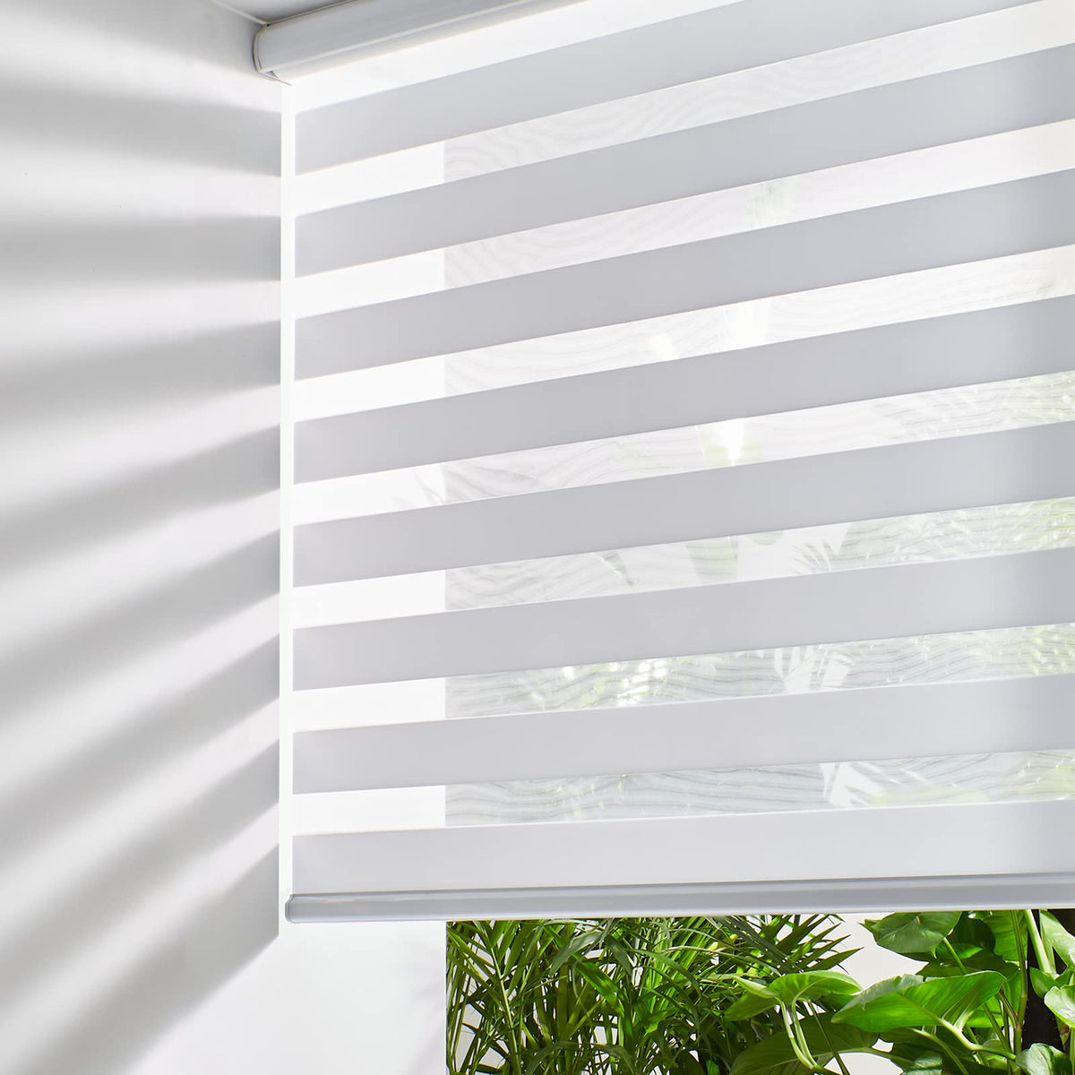 Persilux Cordless Zebra Blinds for Windows (31" W X 64" H, Grey) Free-Stop Roller Windows Shades Dual Layer Light Control for Day and Night, Light Filtering Sheer Shades for Home