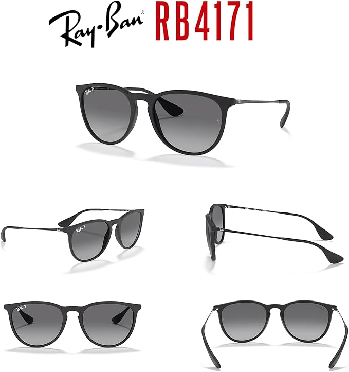 Ray-Ban RB4171 ERIKA Round Sunglasses For Women +BUNDLE with ACCESSORY EYEWEAR KIT