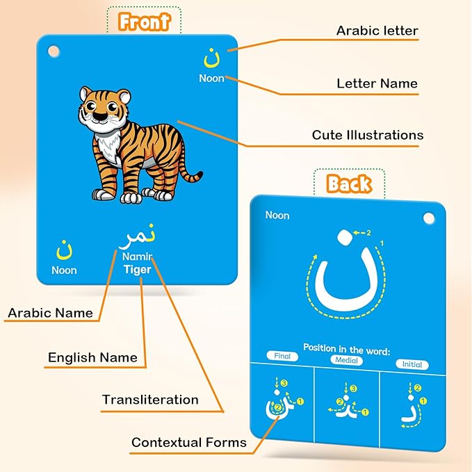 48 Arabic Flash Cards for Kids,Toddler,Beginners Adult,Learn Arabic Alphabet Letters,Number,Color,Shape & Sight Words,Educational Toys with English Transliteration for Classroom & Homeschool