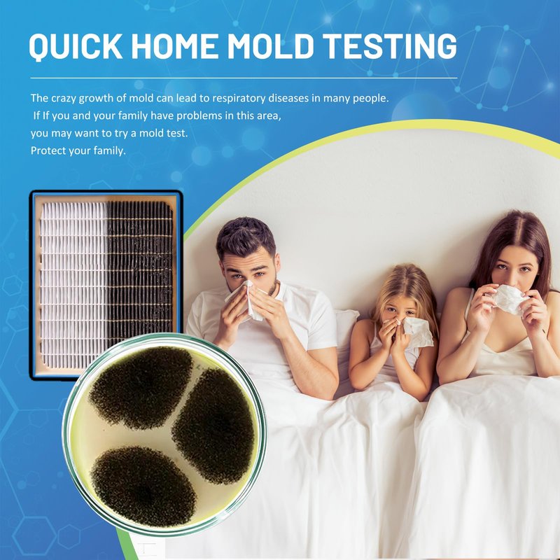 Mold Test Kit for Home,7 Simple Detection Tests,Test HVAC System,Home Surfaces, Indoor Air Quality Testing,DIY Mold Detector for Home,Includes Detailed Mold Identification Guide,Black Mold Testing kit