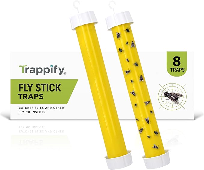 Trappify Hanging Fly Traps Outdoor: Fruit Fly Traps for Indoors | Gnat Trap | Gnat Traps for House Indoor | Fly Trap Indoor - Disposable Sticky Fly Trap for Indoor House Pest Control (8 Pack)