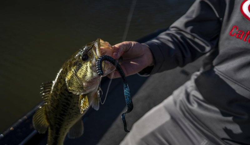 Berkley PowerBait® Power Worm Fishing Bait, Black Blue Fleck, 7in | 18cm, Irresistible Flavor, Classic Curly Tail Worm Profile, Ideal for Spring, Summer and Fall Fishing