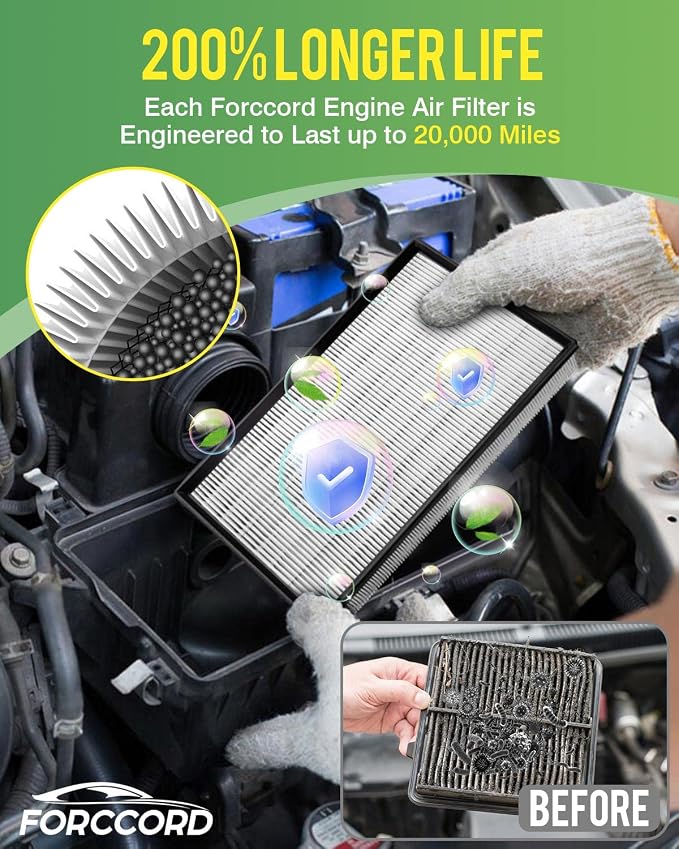 Engine & Cabin Air Filter Kit
