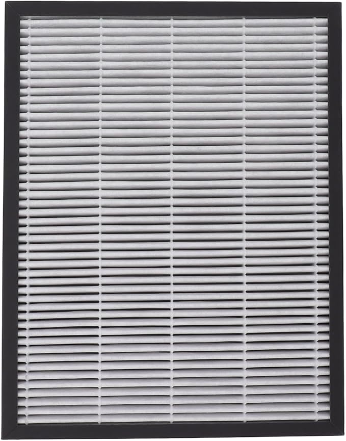 Air Purifier Filter Replacement