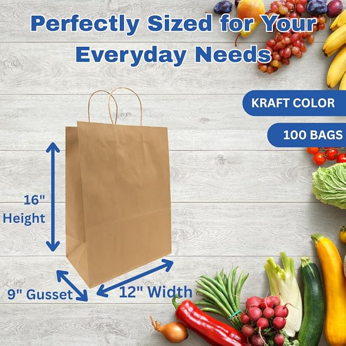 ASSUREPAK Kraft DIY Paper Bags, 12" x 9" x 16", 110 GSM, 100 Count