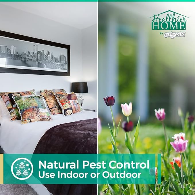 CHOMP! Insect and Pest Control Spray, 24 Ounces, Indoor and Outdoor Use, Plant-Based Formula Ants, Bed Bugs, Dust Mites Spiders, Made with Peppermint, Lemongrass, Geraniol