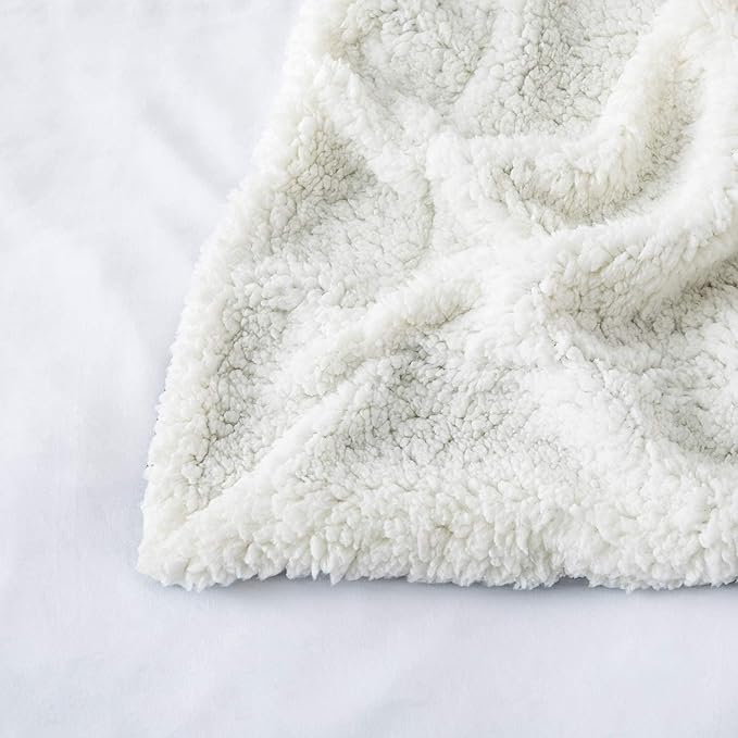 IR Imperial Rooms Sherpa Fleece Throw Blanket Twin Size for Couch - Thick and Warm Fluffy Purple Blankets for Winter, Soft and Fuzzy Twin Blanket for Bed, 60x80 Inches