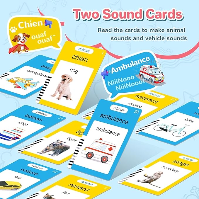French & English Talking Flash Cards for Toddler, Learning Montessori Toys with 224 Sight Words, Speech Therapy Toys, Children's Sensory Preschool Learning Educational Birthday