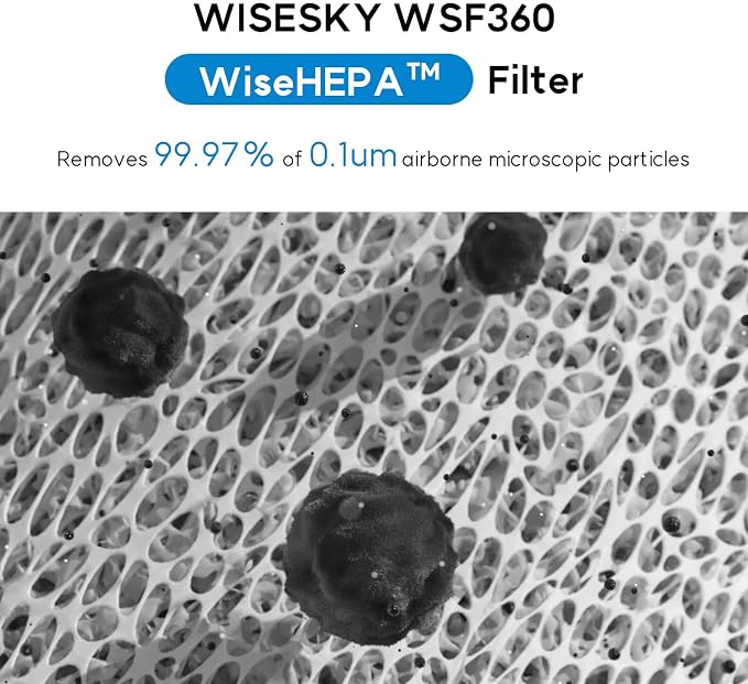 WiseHEPA Carbon Replacement Filter Compatible