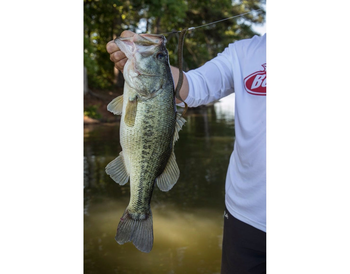 Berkley PowerBait MaxScent Fishing Soft Bait