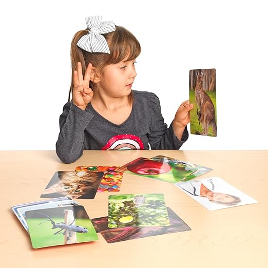 Really Good Stuff Syllable Photo Cards - 48 Cards