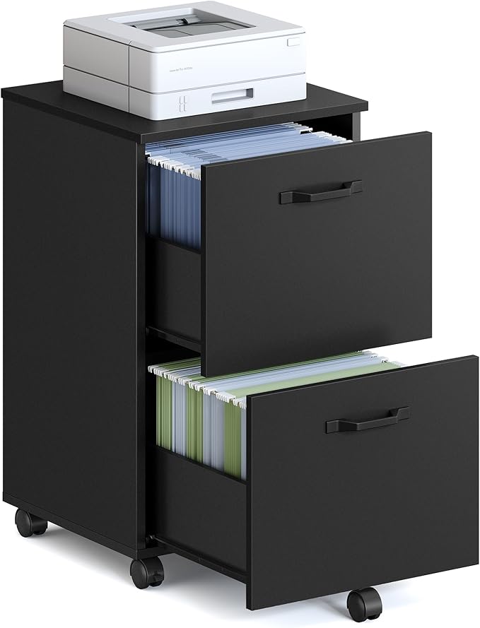 VASAGLE 2-Drawer File Cabinet, Small Rolling Filing Cabinet for Home Office, Printer Stand, for A4, Letter-Size Documents, 15.7 x 16.5 x 27.6 Inches, Ink Black UOFC040B16