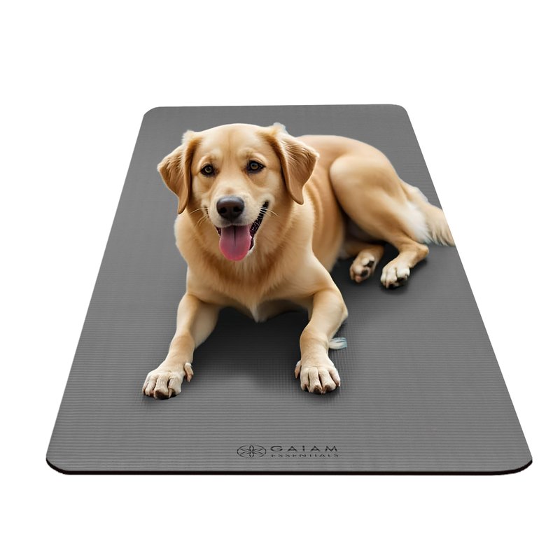 Gaiam Essentials Thick Yoga Mat Fitness & Exercise Mat with Easy-Cinch Carrier Strap, Grey, 72"L X 24"W X 2/5 Inch Thick, 10mm
